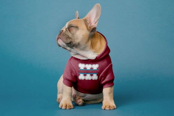 Dog Bone Split Applique Embroidery